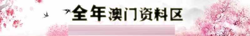 新新彩上半场资料
